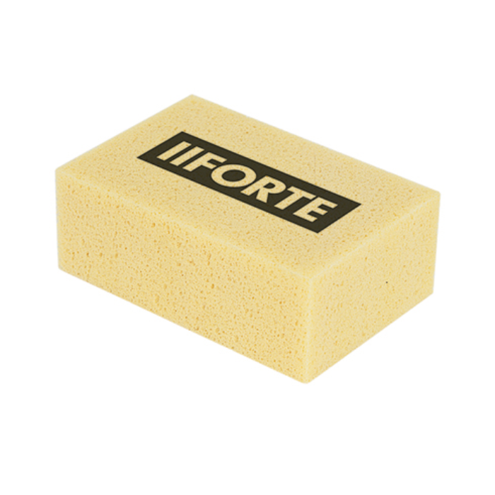 Forte Hydro Sponge